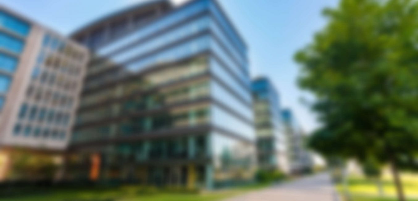 Will German Hamburg Become Car-Free by 2050?